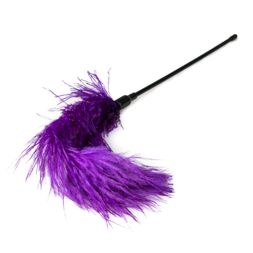 Paarse veren kietelaar bdsm sm toys